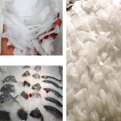 Automatic 1 2 3 5 Flake Ice Maker Machine 10 Ton 3P 380Volt 50Hz