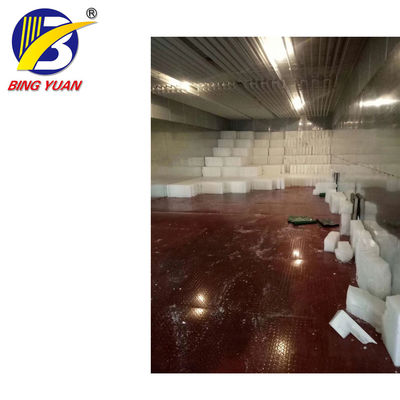 Cold Storage Ice Plant ice storage room