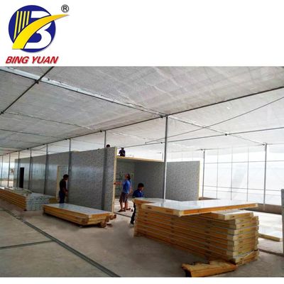 Cold Storage Ice Plant ice storage room