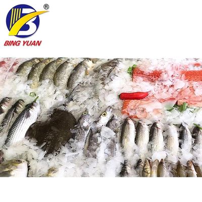 Yixing ICS 3 tons Flake Ice Making Machine, High Quality Flake Ice Maker