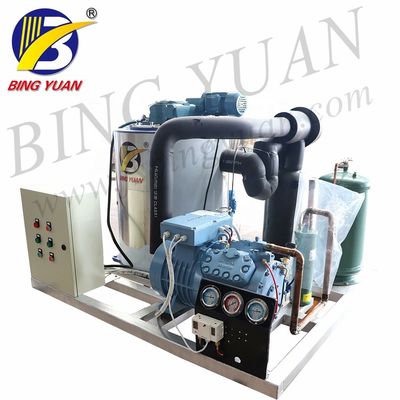 Yixing ICS Snow Flake Ice Making Machine for Fresh-keeping from China Manufacture