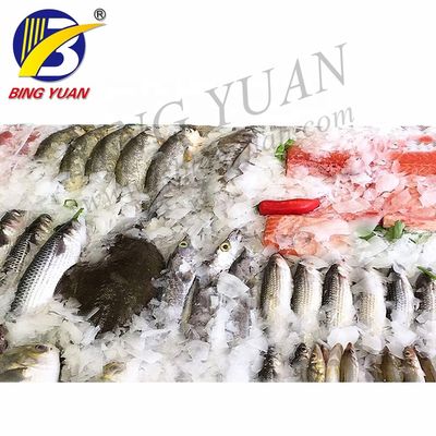 Automatic flake ice machine for fishery commercial type flake ice maker