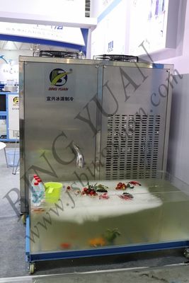 1580x850x1650mm R404a 60 Tonne Automatic Ice Machine
