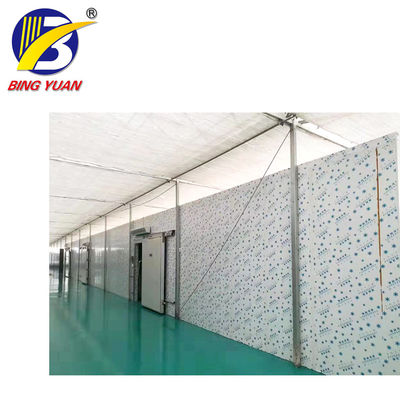 cold storage room cold room panels polyurethane,fish storage cold room,cold room for sale