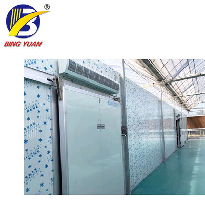 cold storage room cold room panels polyurethane,fish storage cold room,cold room for sale