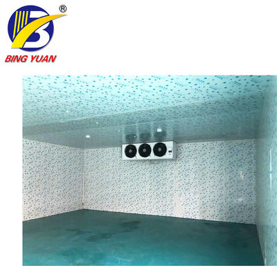 cold storage room cold room panels polyurethane,fish storage cold room,cold room for sale