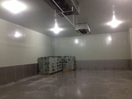 20m2 R404A Cooler Refrigeration Units , Small Cold Storage